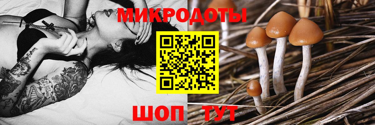 Фрязино  Галлюциногенные грибы ЛСД  Вход с VPN 